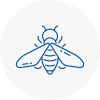Bee Nest Removal Warwickshire