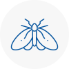 Moth Control Specialists In Warwickshire