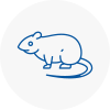 Rat Control Warwickshire