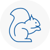 Warwickshire Rodent Removals